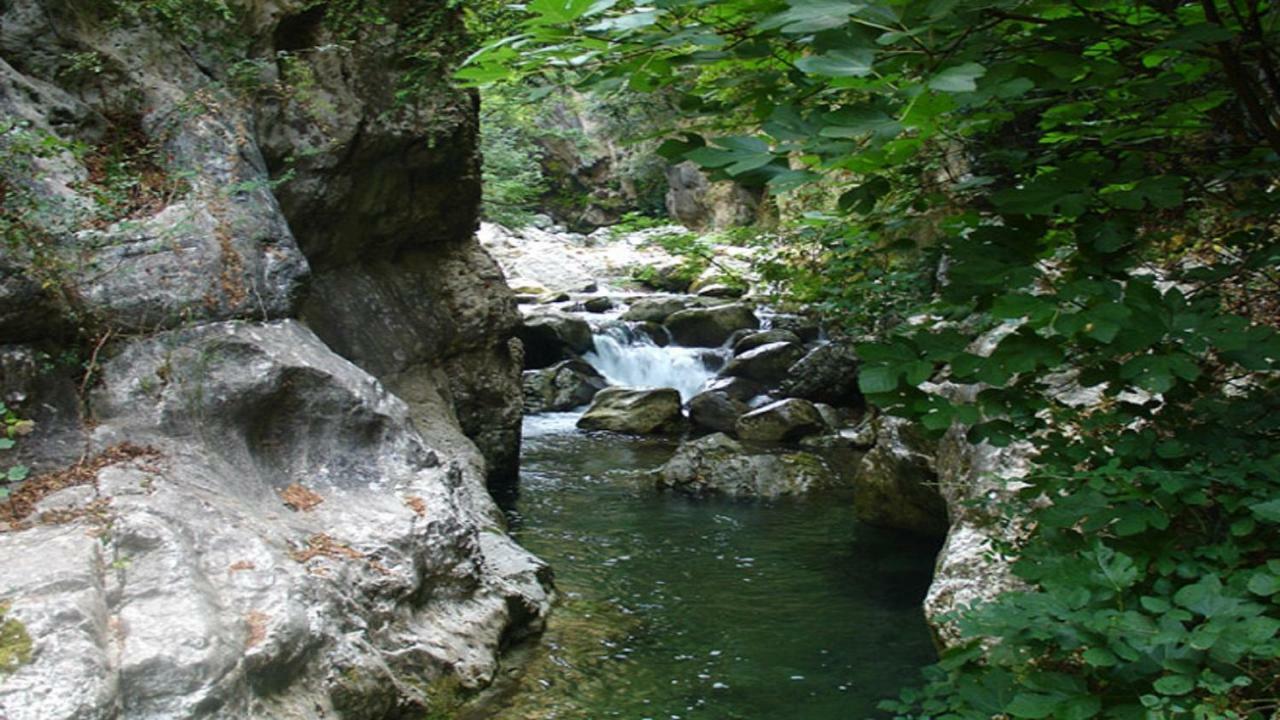 B&B Il Melograno Tortorella Exterior foto