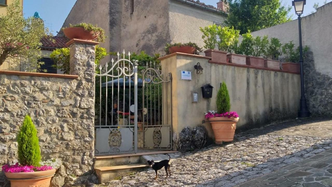 B&B Il Melograno Tortorella Exterior foto